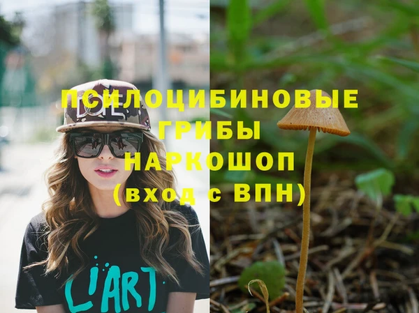 дурь Лихославль