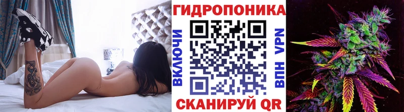 Бошки марихуана Bruce Banner  Купить  Новый Уренгой 